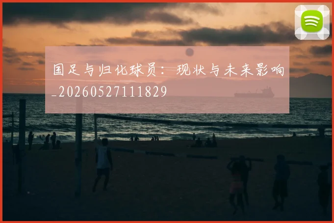 国足与归化球员:现状与未来影响_20260527111829